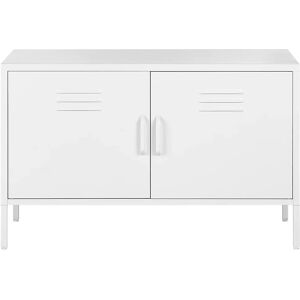 Ebern Designs Larance Steel 2 - Door Cabinet 65.0 H x 100.0 W x 40.0 D cm