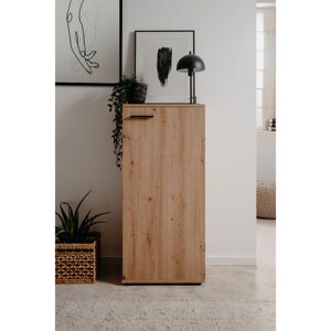 Latitude Run 12 Pair Shoe Storage Cabinet Brown, white and pink 12