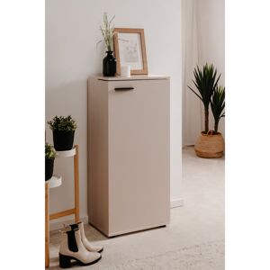 Latitude Run 12 Pair Shoe Storage Cabinet in Grey 12