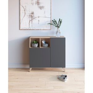 Ebern Designs 12 Pair Shoe Storage Cabinet Light Oak/Jet Black 12