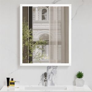 Ivy Bronx Surface Frameless LED Davaughn Mirror With 2 Adjustable Shelf & Bluetooth Speaker Silver 60cm H x 50cm W x 13cm D