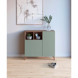 Ebern Designs 12 Pair Shoe Storage Cabinet Walnut/Green 12