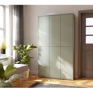 Brayden Studio 32 Pair Shoe Storage Cabinet Sage 32 Brayden Studio 32 Pair Shoe Storage Cabinet Sage 32