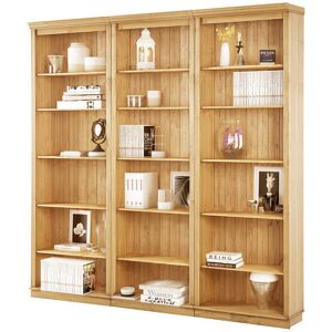 Rosalind Wheeler Delbis 223cm H x 222cm W Bookcase Brown 223cm H X 222cm W X 34cm D Rosalind Wheeler Delbis 223cm H x 222cm W Bookcase Brown 223cm H X 222cm W X 34cm D