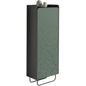 Ebern Designs 12 Pair Shoe Storage Cabinet Jet Black/Green 11 Ebern Designs 12 Pair Shoe Storage Cabinet Jet Black/Green 11