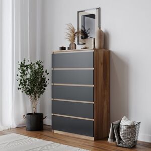 17 Stories Baptistine 5 Drawer 70Cm W Chest of Drawers Oak/Black 108.5cm H X 70cm W X 35cm D 17 Stories Baptistine 5 Drawer 70Cm W Chest of Drawers Oak/Black 108.5cm H X 70cm W X 35cm D