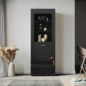 17 Stories 60*35*165cm LED Colorful Lighting Display Cabinet with High Brightness, Adjustable Shelves Black 419.1cm H X 152.4cm W X 88.9cm D 17 Stories 60*35*165cm LED Colorful Lighting Display Cabinet with High Brightness, Adjustable Shelves Black 419.1cm H X 152.4cm W X 88.9cm D