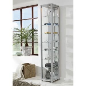 Ebern Designs Fertilien Standard Curio Cabinet with Lighting gray