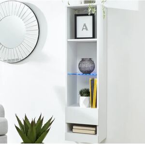 Wade Logan Kedzie Wall Mounted Display Cabinet with Lighting white 120.0 H x 30.0 W x 30.0 D cm