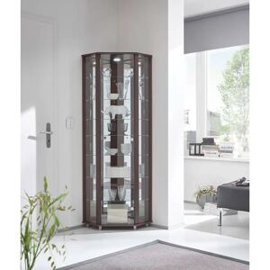 Ebern Designs Frankmut Corner Curio Cabinet with Lighting gray/brown 171.8 H x 70.69 W x 51.9 D cm