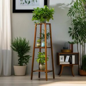 Borough Wharf Tilsworth Tall Natural Bamboo Tall Plant Stand 3 Tier Shelf Plant Holder Home Furniture brown 96.5 H x 30.5 W x 30.5 D cm