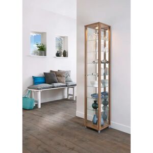 Ebern Designs Fertilien Standard Curio Cabinet with Lighting brown