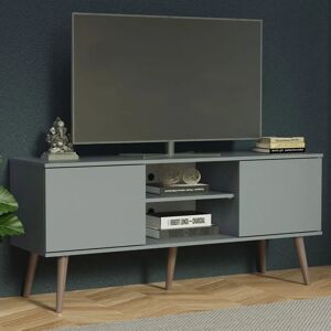 MADESA Modern Tv Stand With 2 Doors and 2 Shelves for TVs up to 55 Inches - 60 H x 38 D x 138 L cm gray 60.0 H x 138.0 W x 38.0 D cm