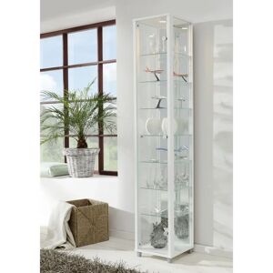 Ebern Designs Fertilien Standard Curio Cabinet with Lighting white