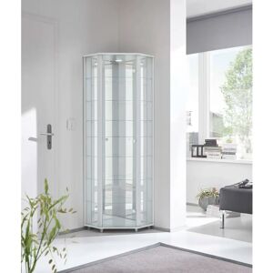 Ebern Designs Frankmut Corner Curio Cabinet with Lighting white 171.8 H x 70.69 W x 51.9 D cm