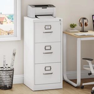 17 Stories Scioli 45.8cm Wide 3 Drawer Steel File Cabinet white 103.0 H x 45.8 W x 45.0 D cm