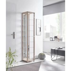 Ebern Designs Fertilien Standard Curio Cabinet with Lighting black/brown