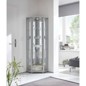 Ebern Designs Elizel Corner Curio Cabinet with Lighting gray 164.6 H x 54.0 W x 42.7 D cm