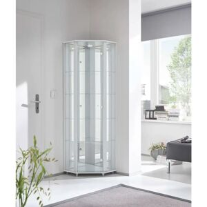 Ebern Designs Elizel Corner Curio Cabinet with Lighting white 164.6 H x 54.0 W x 42.7 D cm