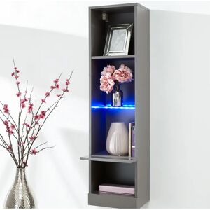 Wade Logan Kedzie Wall Mounted Display Cabinet with Lighting gray 120.0 H x 30.0 W x 30.0 D cm