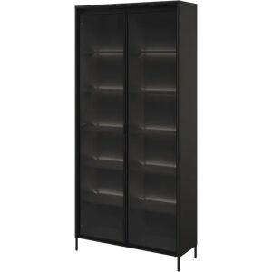 Ebern Designs Vannatta Display Cabinet with Lighting black 198.0 H x 92.0 W x 40.0 D cm