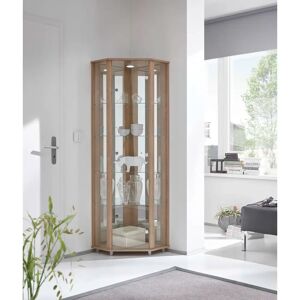 Ebern Designs Elizel Corner Curio Cabinet with Lighting brown 164.6 H x 54.0 W x 42.7 D cm