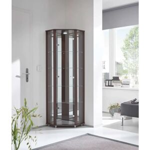 Ebern Designs Elizel Corner Curio Cabinet with Lighting gray/brown 164.6 H x 54.0 W x 42.7 D cm