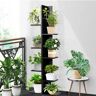 Ebern Designs Tree-Shaped Bookshelf 8-Tier Floor Standing Bookcase black 141.0 H x 50.0 W x 20.0 D cm