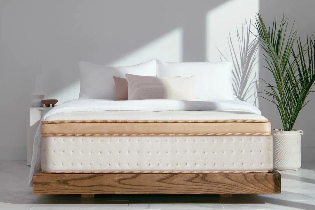 Langfang Liu tai Furniture Pillow-Top Pocket Sprung 1000 Spring Mattress 24.0 H x 153.0 W x 198.0 D cm