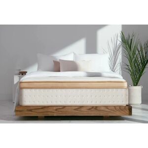 Langfang Liu tai Furniture Pillow-Top Pocket Sprung 1000 Spring Mattress 24.0 H x 137.0 W x 191.0 D cm