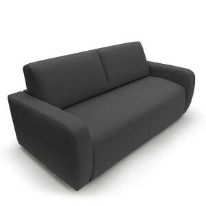 Ebern Designs 2 Seater Fold Out Sofa Bed black 99.0 H x 215.0 W x 100.0 D cm