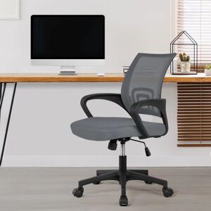 Wayfair Basics™ Blane Mesh Desk Chair gray 87.0 H x 60.5 W x 60.0 D cm