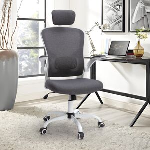 Inbox Zero Ludovica 52 cm Wide High Back Mesh Ergonomic Office Chair With Adjustable Headrest, Armrest, Lumbar Gray 96cm H X 52cm W X 52cm D