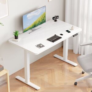 17 Stories Electric Standing Desk Height Adjustable Desk Sit Stand Desk With Time Reminder Stand up Desk 3 Memory Setting Electric Desk White/White 72cm H x 100cm W x 60cm D