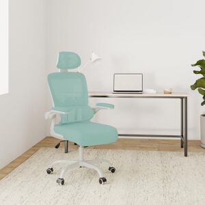 17 Stories Motonobu Ergonomic Office Chair with Mesh Lumbar Support Grey/White 127cm H X 50.8cm W X 54cm D