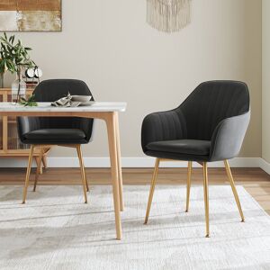 Canora Grey 2Pcs Modern Velvet Upholstered Dining Chairs with Polished Gold Legs Gold 83cm H X 46cm W X 42cm D