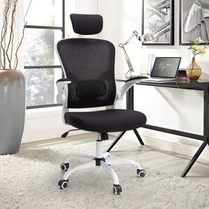 Inbox Zero Ludovica 52 cm Wide High Back Mesh Ergonomic Office Chair With Adjustable Headrest, Armrest, Lumbar Black 96cm H X 52cm W X 52cm D