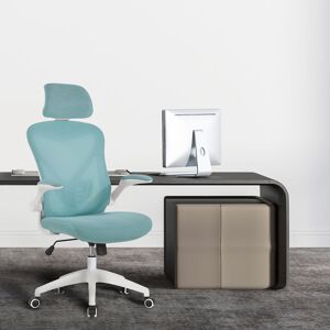 Brayden Studio Aalaysia Ergonomic Mesh Desk Chair Blue 118cm H X 62.51cm W X 62.51cm D Brayden Studio Aalaysia Ergonomic Mesh Desk Chair Blue 118cm H X 62.51cm W X 62.51cm D
