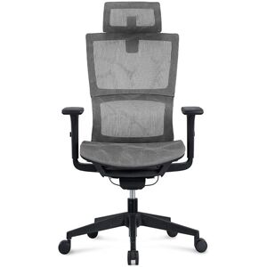 Inbox Zero Anavilhanas Ergonomic Mesh Desk Chair Grey 127cm H X 70cm W X 70cm D Inbox Zero Anavilhanas Ergonomic Mesh Desk Chair Grey 127cm H X 70cm W X 70cm D