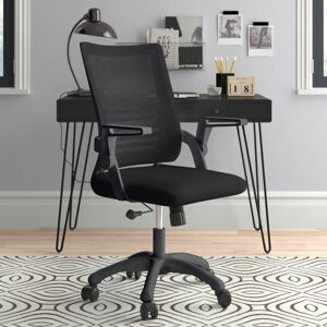 Wade Logan Raghi Height Adjustable Mesh Desk Chair Office Chair Black/Black 91cm H X 60cm W X 45cm D Wade Logan Raghi Height Adjustable Mesh Desk Chair Office Chair Black/Black 91cm H X 60cm W X 45cm D