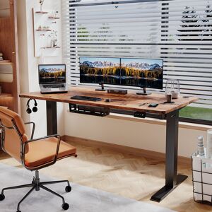 Zipcode Design Hieronymus Electric Adjustable T-Shape Standing Desk Home Desk With Backpack Hook And Memory Smart Pannel Brown 120cm W x 60cm D Zipcode Design Hieronymus Electric Adjustable T-Shape Standing Desk Home Desk With Backpack Hook And Memory Smart Pannel Brown 120cm W x 60cm D