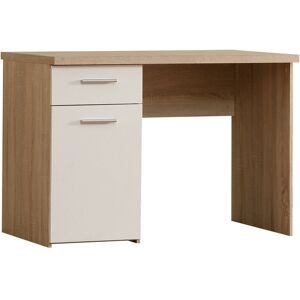 Latitude Run Pascoe Writing Desk Brown 76.3cm H X 110cm W X 60cm D Latitude Run Pascoe Writing Desk Brown 76.3cm H X 110cm W X 60cm D