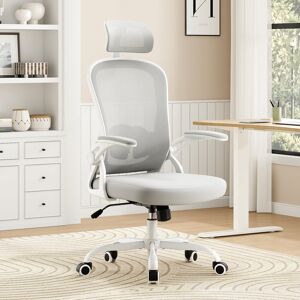 Inbox Zero Montclaire Mesh Desk Chair With Adjustable Lumbar Support White/Grey 64cm W X 64cm D Inbox Zero Montclaire Mesh Desk Chair With Adjustable Lumbar Support White/Grey 64cm W X 64cm D