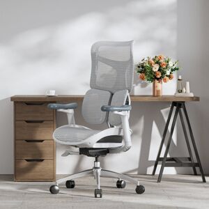 SIHOO Ergonomic Office Chair, with Dual Dynamic Lumbar Support, 4D Armrests Light Grey/Silver/Grey 127cm H X 70cm W X 70cm D SIHOO Ergonomic Office Chair, with Dual Dynamic Lumbar Support, 4D Armrests Light Grey/Silver/Grey 127cm H X 70cm W X 70cm D