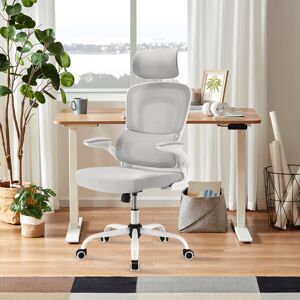 Inbox Zero High Back Ergonomic Mesh Office Chair White/Grey 61.5cm W X 70.1cm D Inbox Zero High Back Ergonomic Mesh Office Chair White/Grey 61.5cm W X 70.1cm D