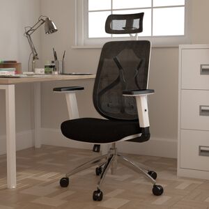 Symple Stuff Ergonomic Mesh Executive Chair Black 123cm H X 66cm W X 68cm D Symple Stuff Ergonomic Mesh Executive Chair Black 123cm H X 66cm W X 68cm D