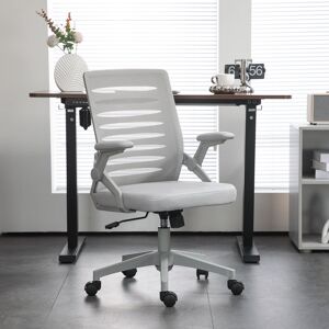Inbox Zero Aashish Ergonomic Mesh Office Chair Grey 100cm H X 58.5cm W X 58cm D Inbox Zero Aashish Ergonomic Mesh Office Chair Grey 100cm H X 58.5cm W X 58cm D