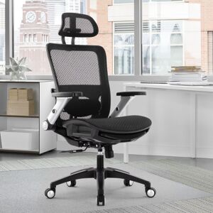 Inbox Zero Hopeworth Ergonomic Mesh Office Chair with Adjustable Arms & Swivel Base Black 328.93cm H X 154.94cm W X 160.02cm D Inbox Zero Hopeworth Ergonomic Mesh Office Chair with Adjustable Arms & Swivel Base Black 328.93cm H X 154.94cm W X 160.02cm D