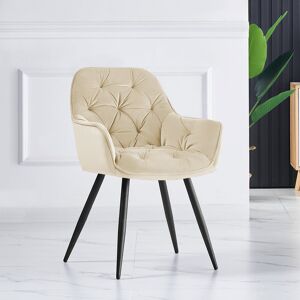 Fairmont Park Irie Single Velvet Upholstered Dining Chair with Arm Beige 83cm H X 57cm W X 61cm D Fairmont Park Irie Single Velvet Upholstered Dining Chair with Arm Beige 83cm H X 57cm W X 61cm D