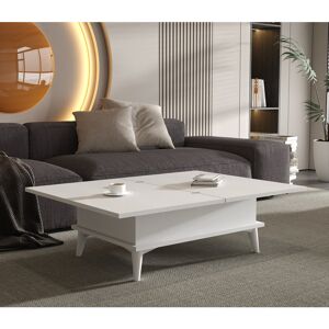 Corrigan Studio Armory Mist Lift Top Extendable Coffee Table with Storage White/White 45cm H X 90cm W X 60cm D Corrigan Studio Armory Mist Lift Top Extendable Coffee Table with Storage White/White 45cm H X 90cm W X 60cm D